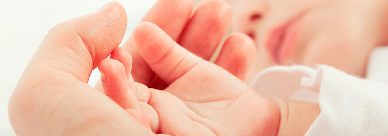 O que são os primeiros 1000 dias?